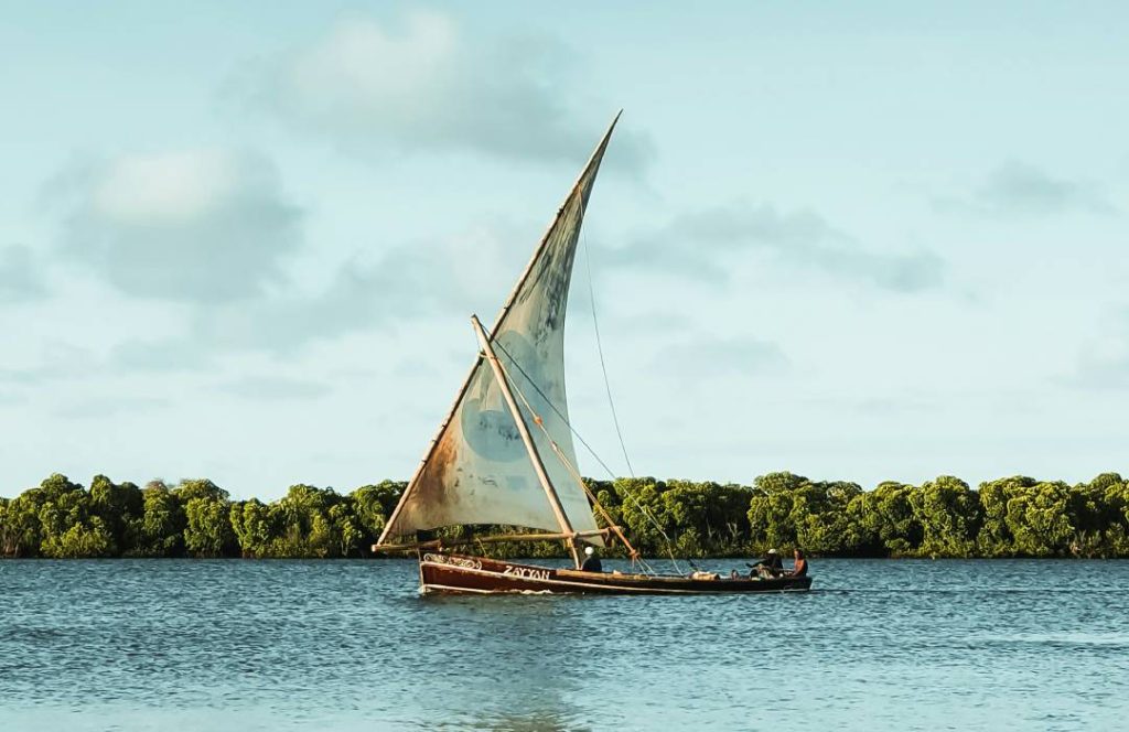 diani-1-1