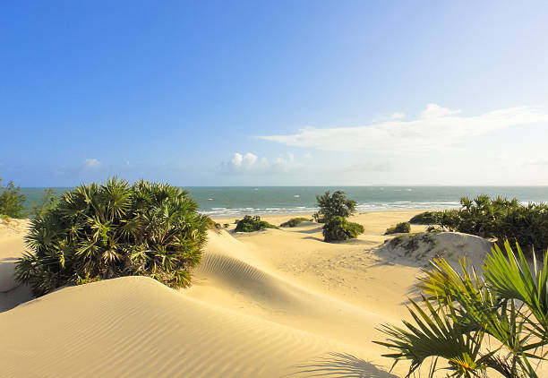 Shela beach in Lamu. Kenya