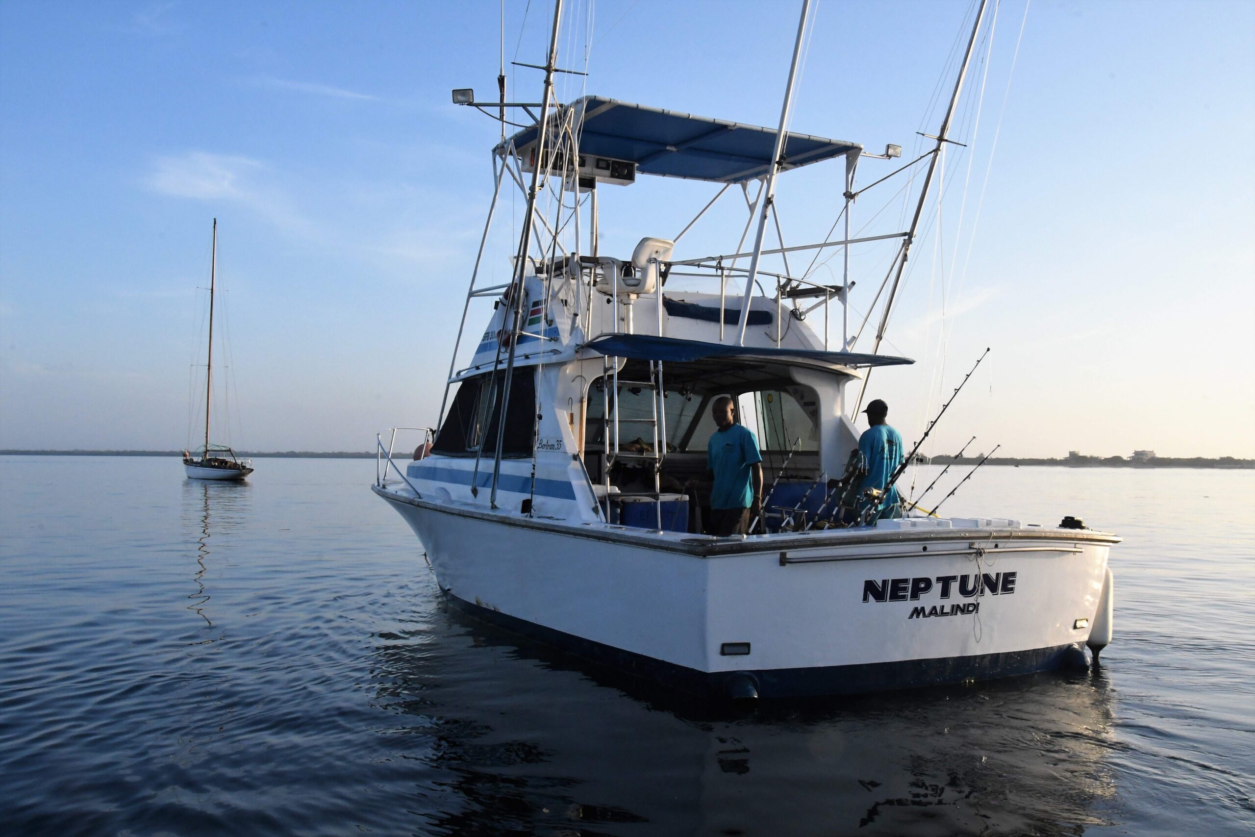 sportfish 1
