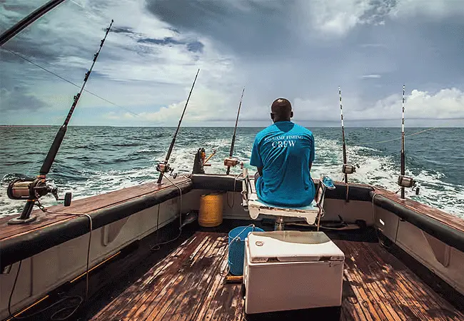 sportfish 2