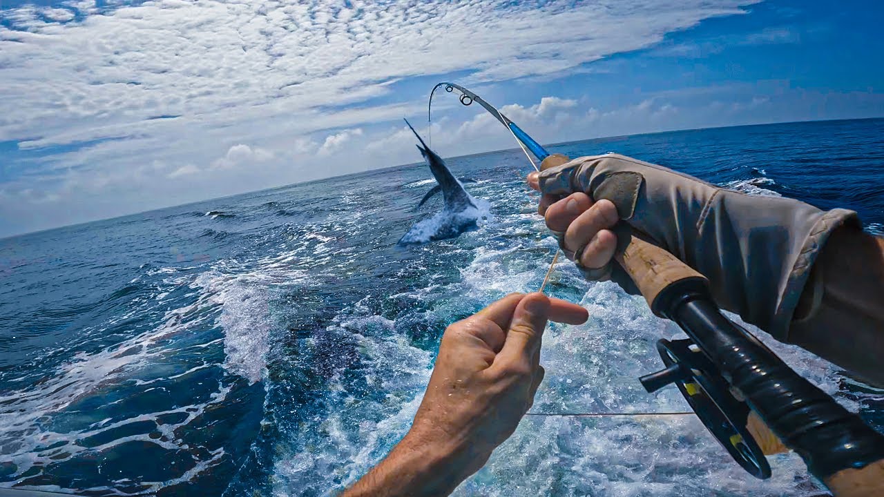 sportfish 3
